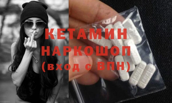 гашик Дмитров