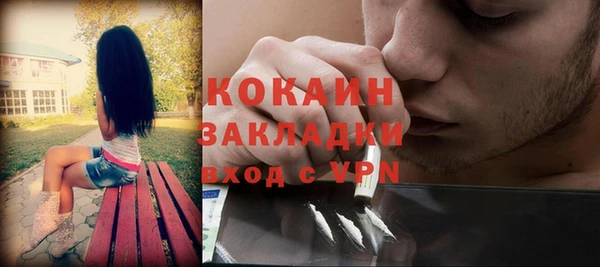 ECSTASY Дмитриев