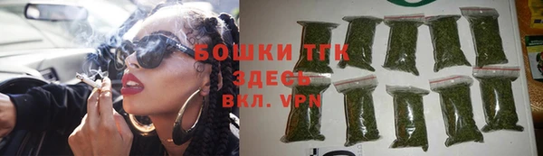 гашик Дмитров