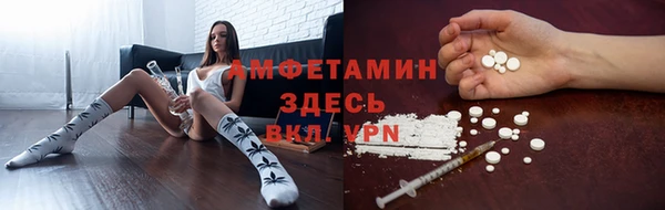 ECSTASY Дмитриев