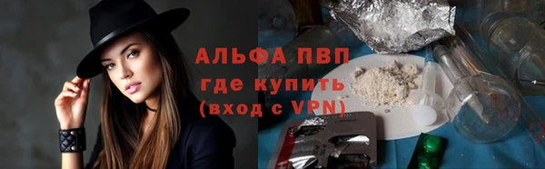 ECSTASY Дмитриев