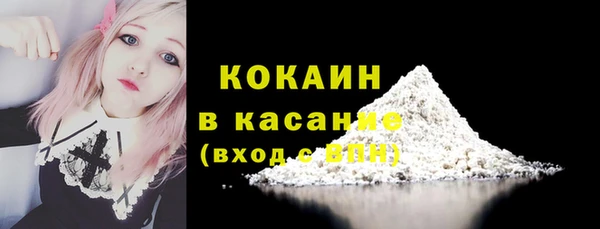 гашик Дмитров