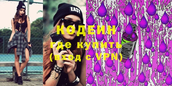 гашик Дмитров