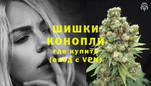 ECSTASY Дмитриев