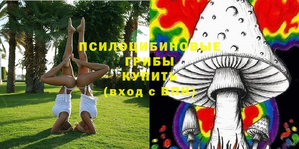 гашик Дмитров