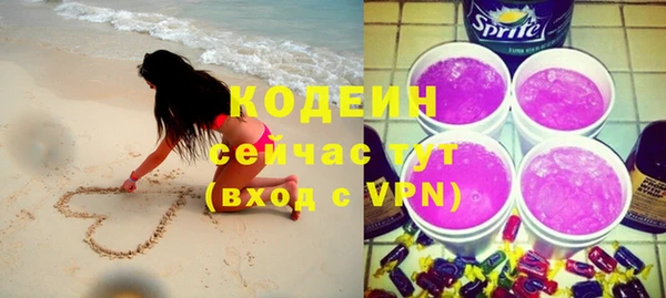 гашик Дмитров