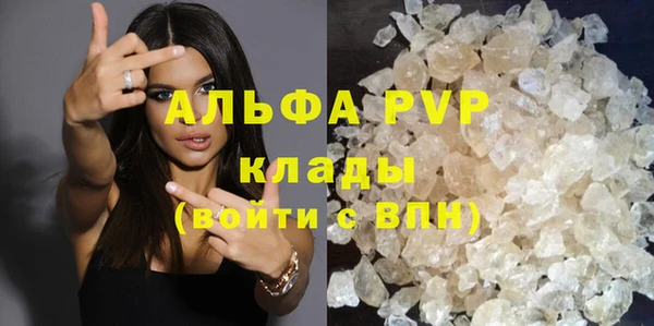 ECSTASY Дмитриев
