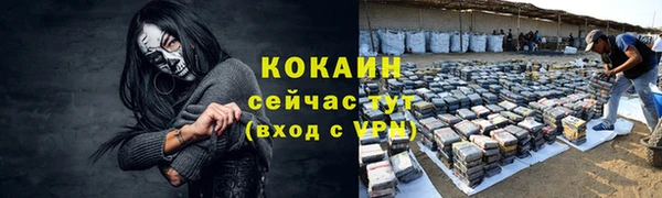 гашик Дмитров