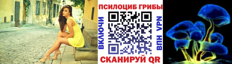 Галлюциногенные грибы Cubensis  кракен ONION  Курган  закладки 
